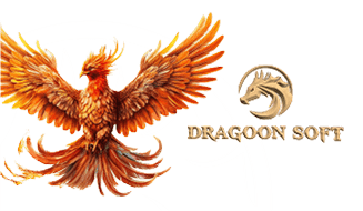 DRAGOONSOFT